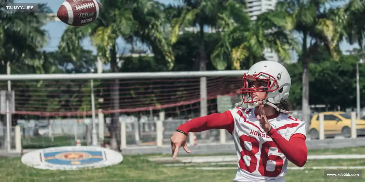 为什么选择我们